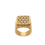 chevalière Harmonie vendue en coffret 7 pierres de protection à insérer ouverture sur le dessus comme à l'époque des chevaliers on y trouvait du poison